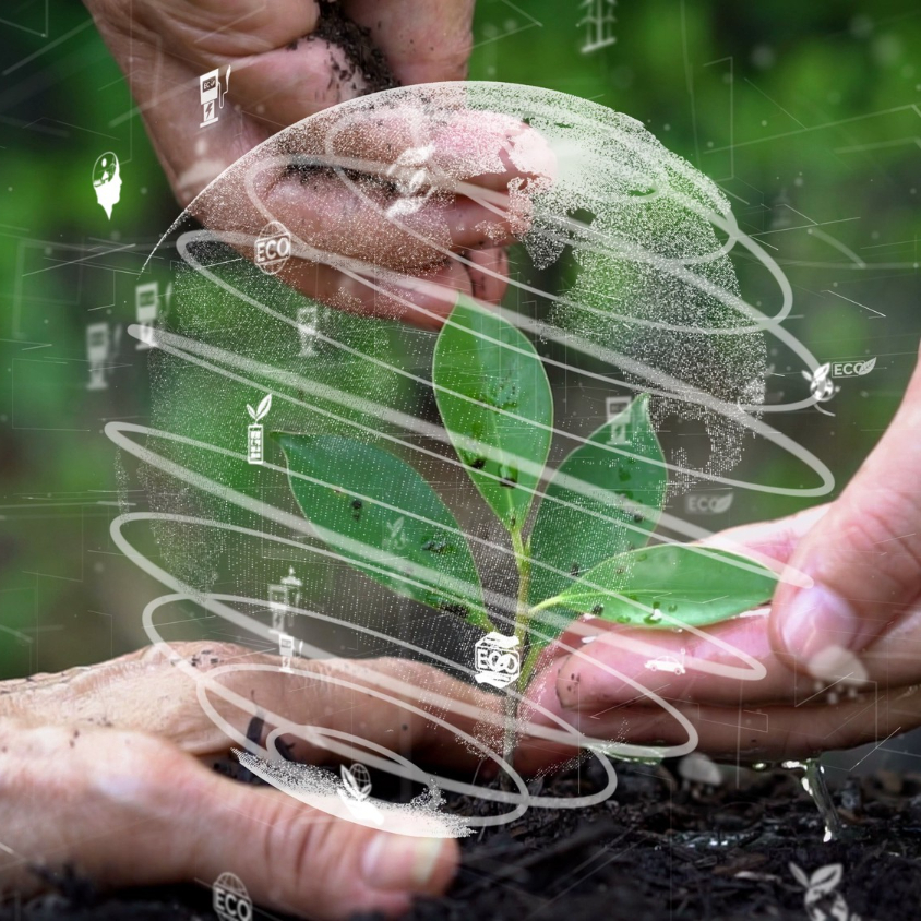 Licenciamento Ambiental